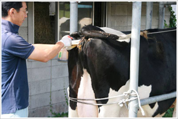 �u�O�A�������ł���v���i