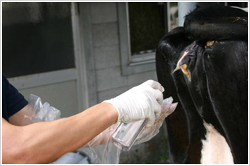 �u�Z���T�[�ɏ����܂�h�z����v���i2