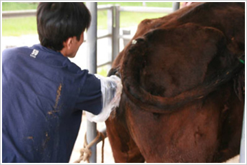 �u�Z���T�[���S���ɑ}���v���i2