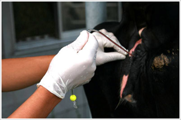 �u�X�g�b�p�[�����������m�F����v���i