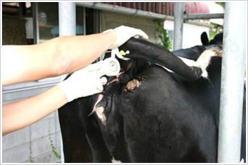 �u�`���[�u�̐���e�[�s���O�v���i